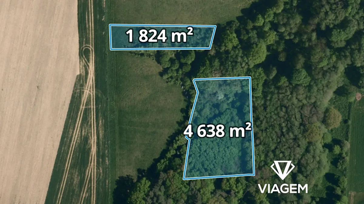 Prodej podílu 1/6 lesa 1077 m²